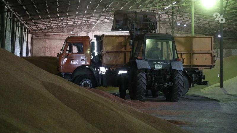 Аграрии Ставрополья намолотили более 92,7 тыс. тонн рапса