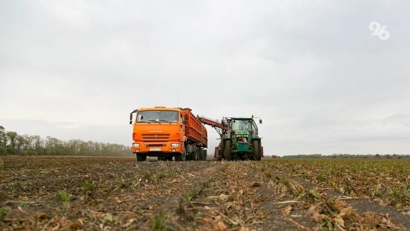 Аграрии Ставрополья намолотили более 92,7 тыс. тонн рапса