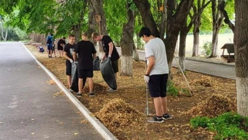 Более 250 ставропольских школьников работают в августе в трудовых бригадах