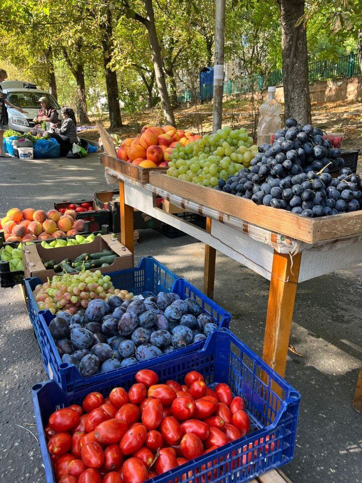 Более 30 ставропольских производителей представили свою продукцию в Кисловодске  Ставрополь (Кавказ)1
