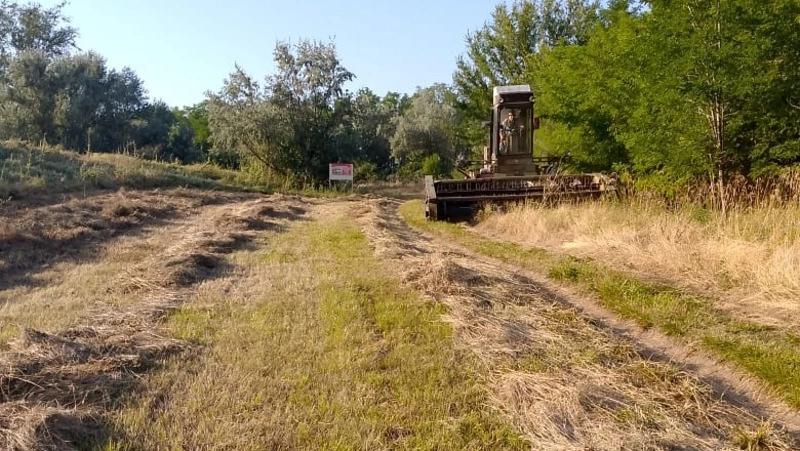 Более 50 тонн сена заготовят для диких животных на Ставрополье на зиму