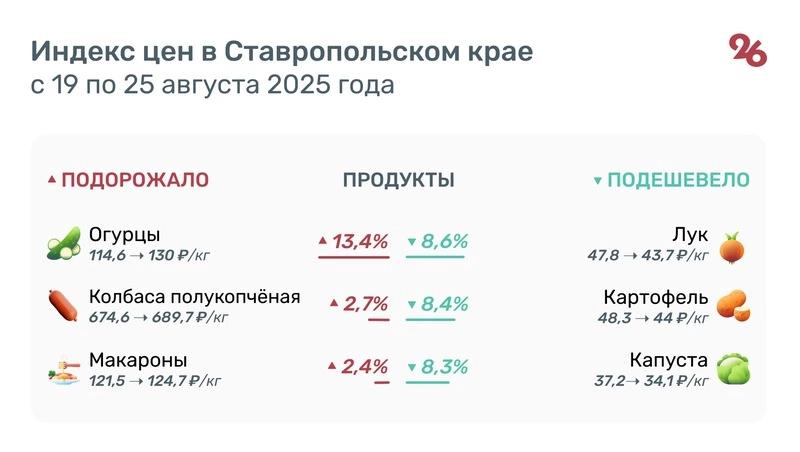 Больше чем на 13% подорожали огурцы на Ставрополе за неделю