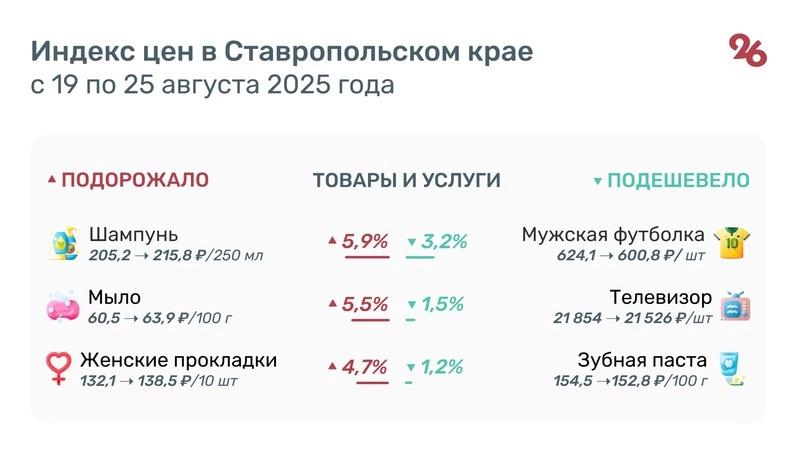 Больше чем на 13% подорожали огурцы на Ставрополе за неделю