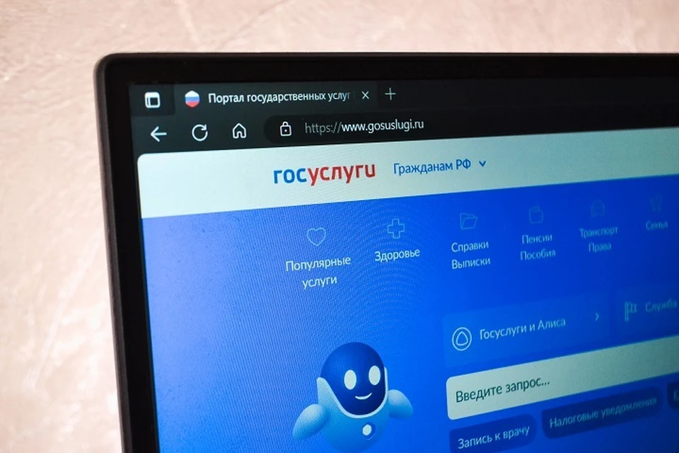 Число мошенничеств с помощью «Госуслуг» на Ставрополье выросло почти в 19 раз0