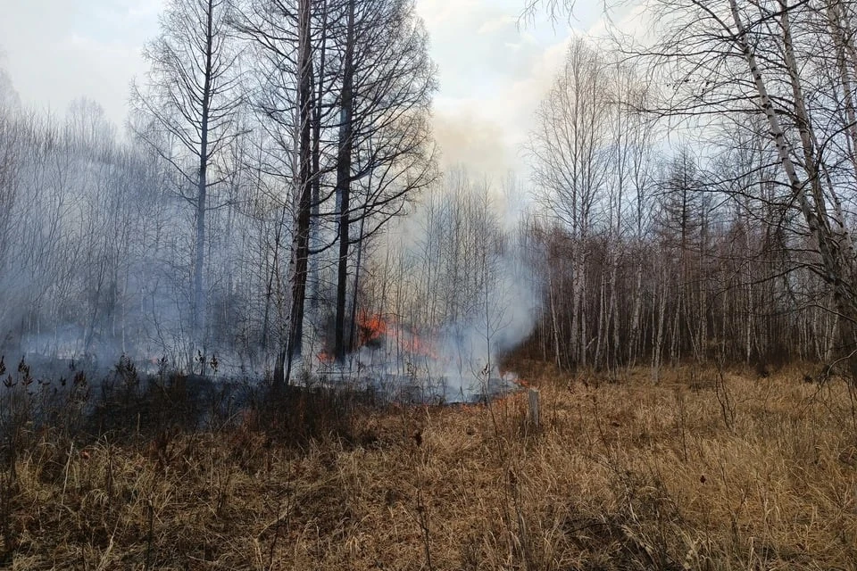 Чрезвычайная пожароопасность на Ставрополье сохранится 1 сентября0