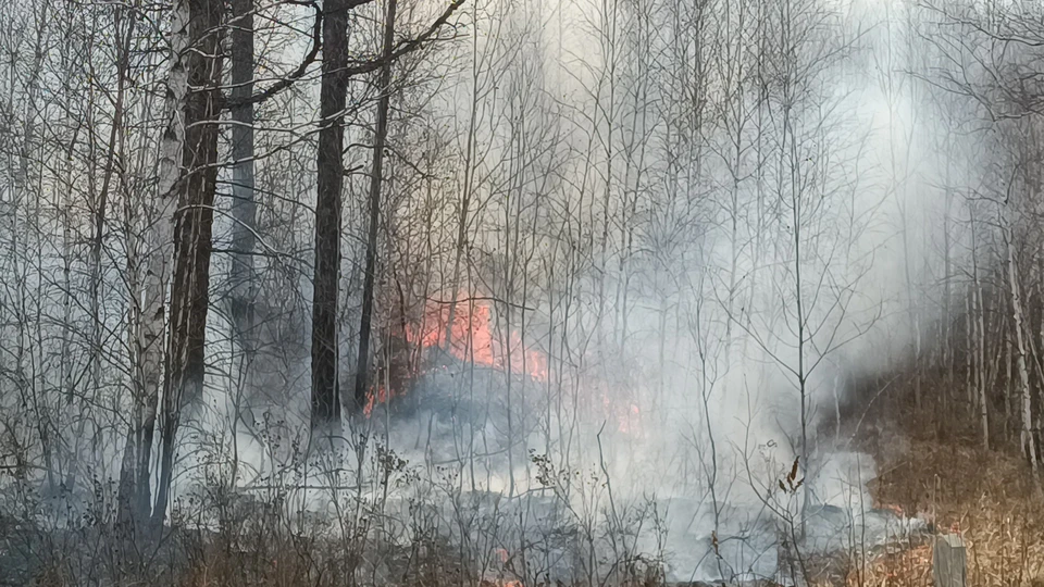 Чрезвыйчайную пожароопасность пятого класс объявили на Ставрополье0