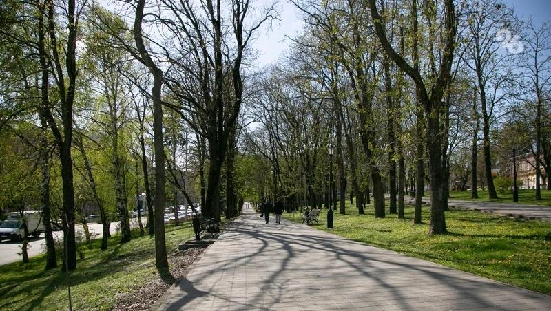 До +37° поднимется температура воздуха на выходных на Ставрополье