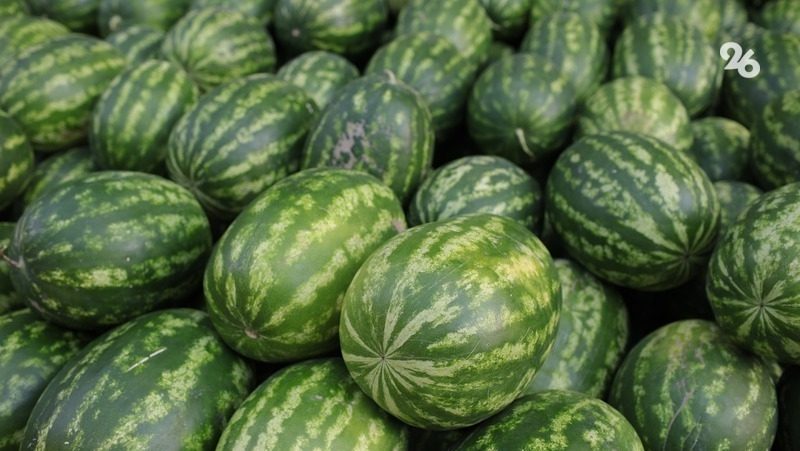 Две ярмарки выходного дня «Покупай ставропольское» пройдут 2 и 3 августа