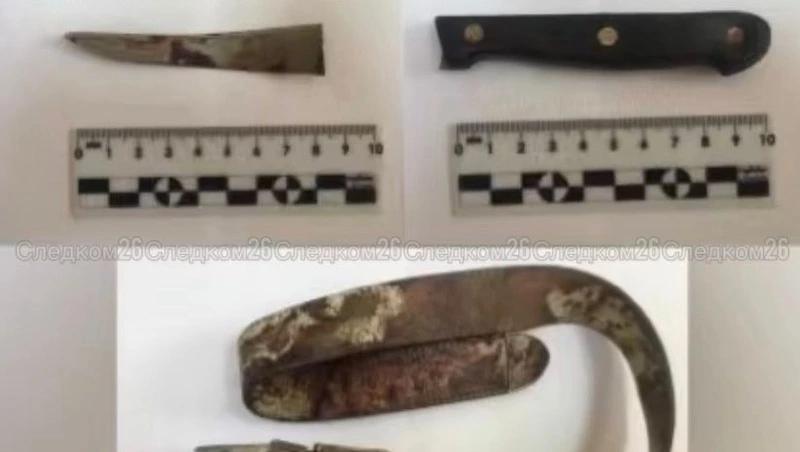 Двое братьев ответят в суде за покушение на убийство на Ставрополье