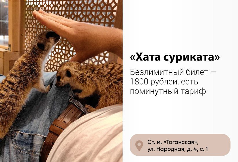 03.jpg