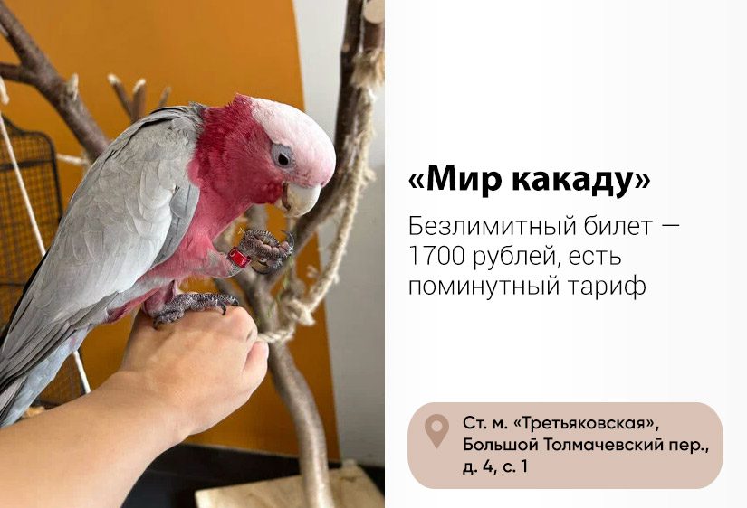 08.jpg
