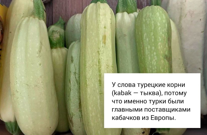 Кабачок vs цукини: в каких блюдах сорт имеет значение0