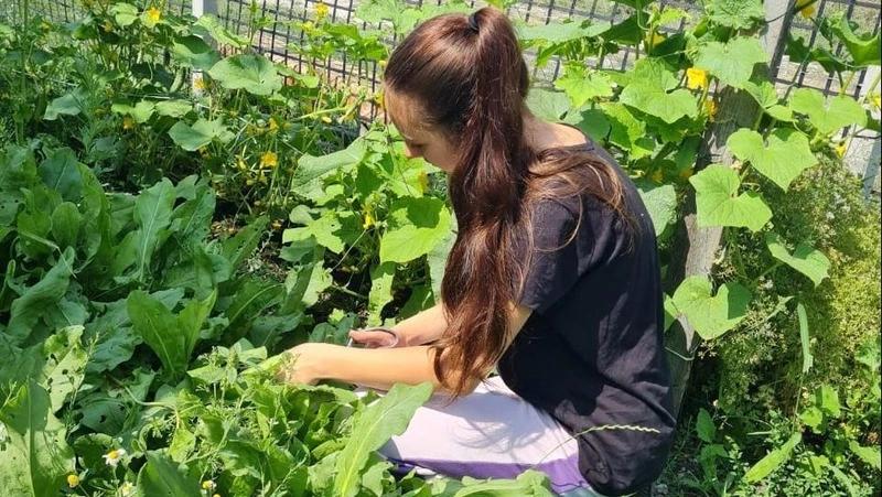 Летняя вахта «Звеньев милосердия» завершилась на Ставрополье