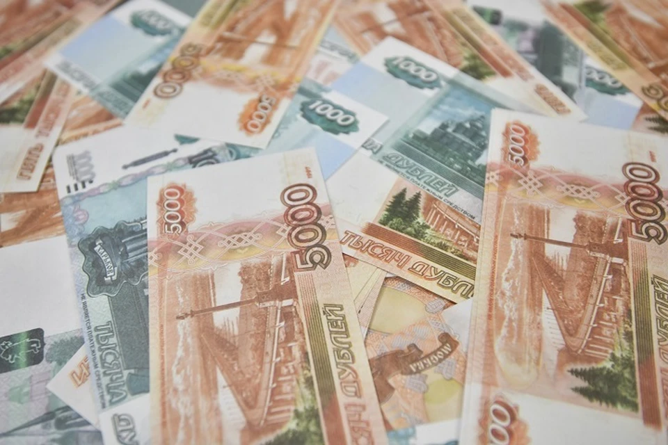 На Ставрополье глава частной фирмы скрыл налогов на 28 млн рублей0