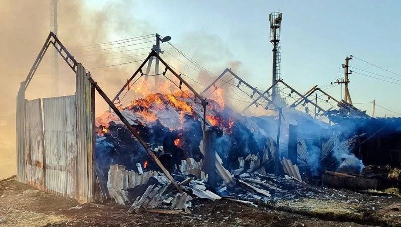 Недосушенное сено самовоспламенилось около частного дома на Ставрополье
