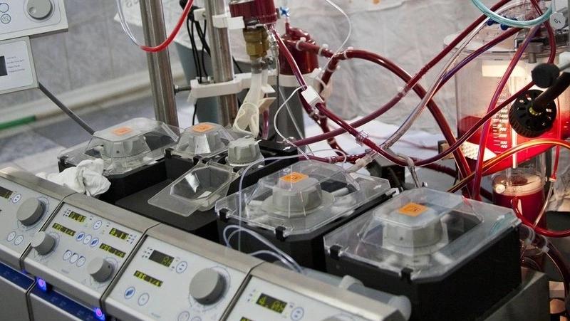 Осколок из сердца участника СВО извлекли  ставропольские хирурги