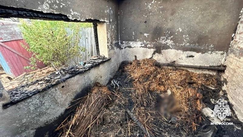 Пенсионер погиб при пожаре в хозпостройке в Арзгире