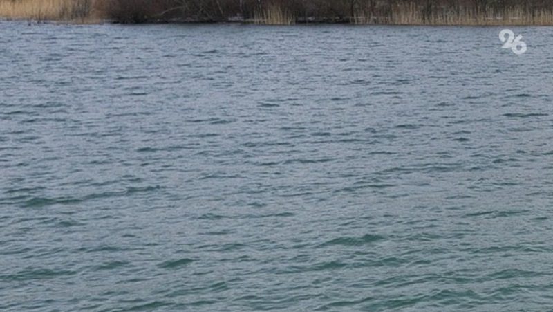 Причины гибели рыбы в городском озере выясняют в Ессентуках