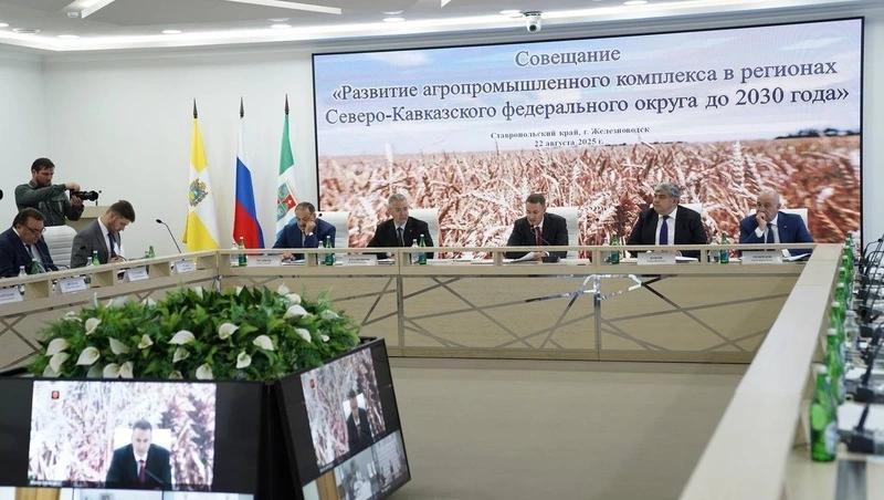 Стратегию развития АПК обсудили Дмитрий Патрушев и глава Ставрополья