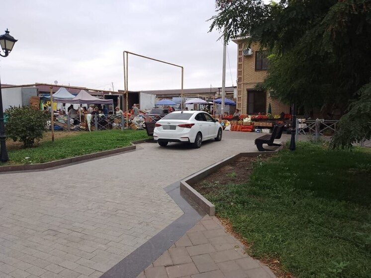 В Будённовске водитель иномарки припарковался на Аллее Памяти