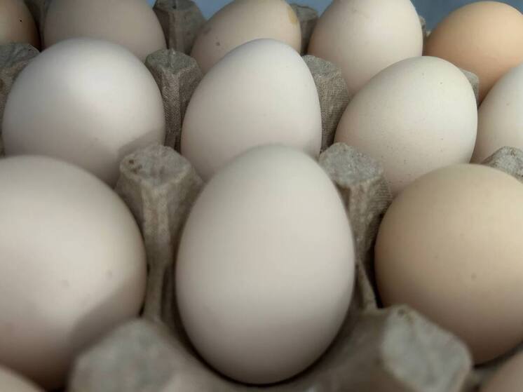 В Кабардино-Балкарии растёт производство продукции птицеводства