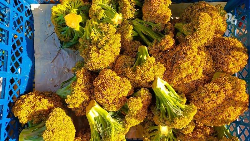 Жителей и гостей Ставрополя ждут на продуктовых ярмарках