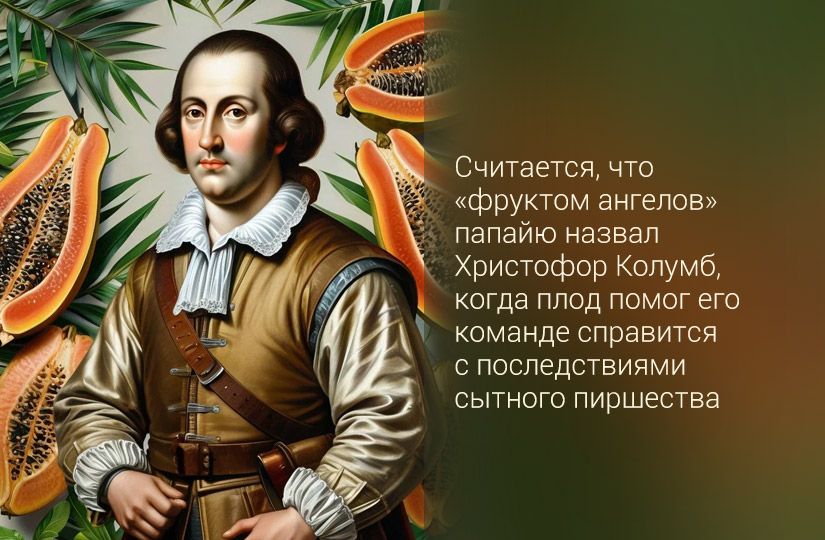 Ангельский фрукт с непростым характером: чем неспелая папайя отличается от спелой, кроме вкуса0