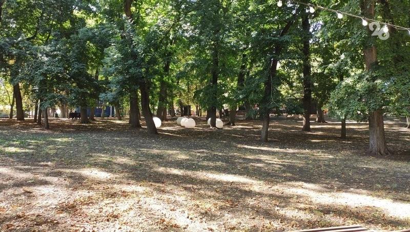 «Без деревьев Центральный парк не останется» — руководитель Ставропольских парков
