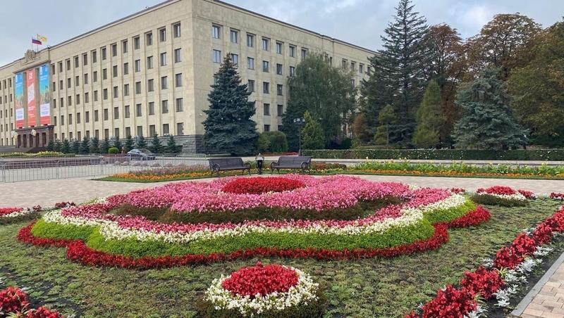 Более 10 тыс. осенних цветов высадили в Ставрополе ко дню города