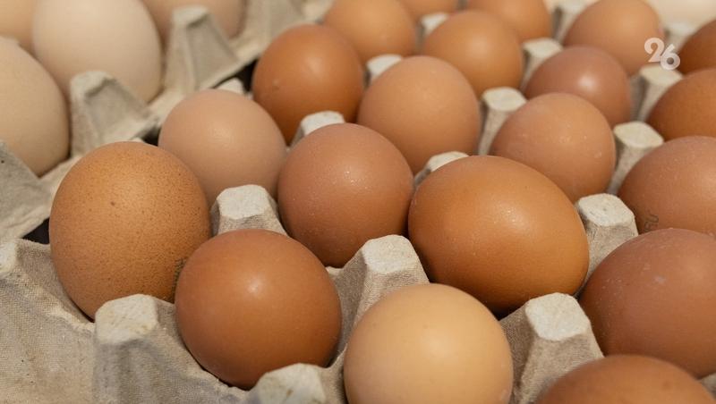 Более 400 тыс. тонн молока получили на Ставрополье за восемь месяцев