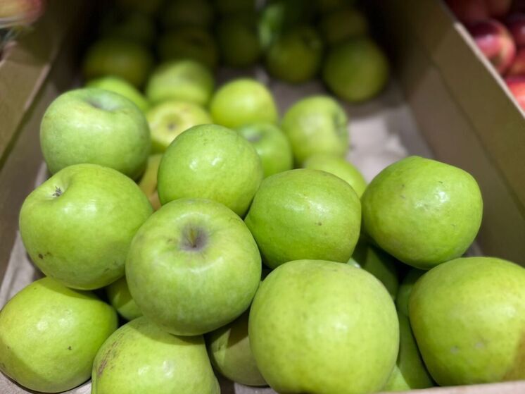 Более тонны яблок нового урожая отправили со Ставрополья бойцам СВО