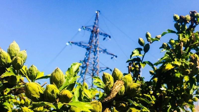 Энергетики улучшили электроснабжение 23 населённых пунктов Ставрополья