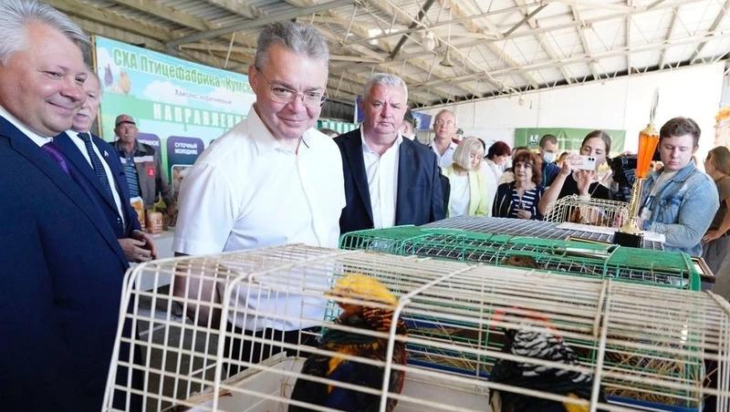 Глава Ставрополья: «Выставка «Урожай-2025» — одно из главных событий в крае»