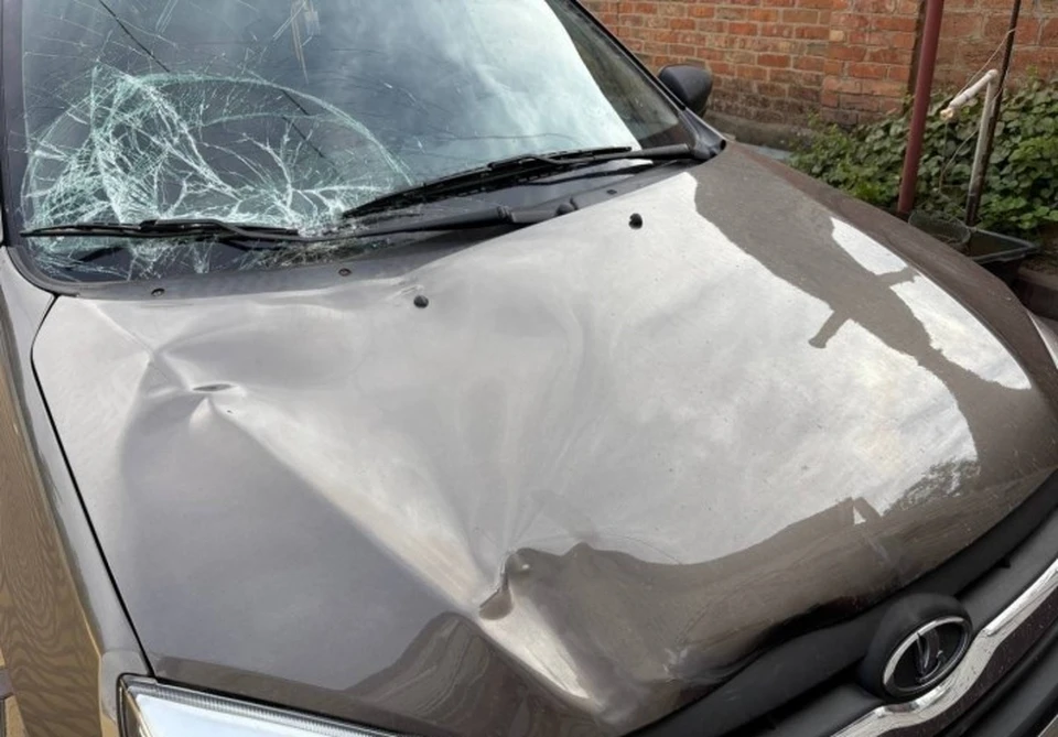 Гуляющие без присмотра кони становятся причиной ДТП на Ставрополье0