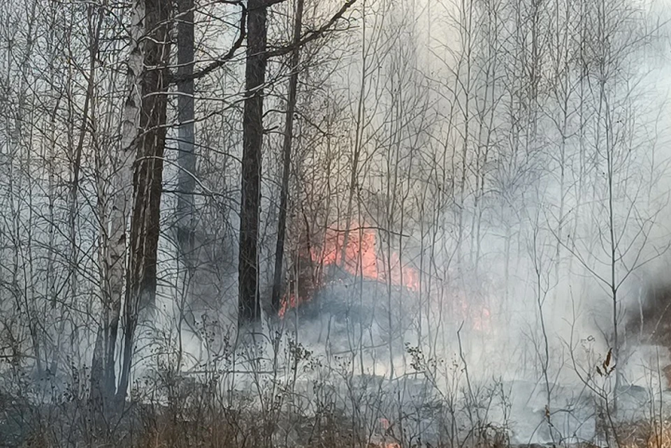 Ландшафтный пожар площадью 3000 кв метров тушат на горе Бештау на Ставрополье0