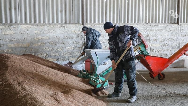 Молодёжи в сёлах Ставрополья не хватает жилья и высоких доходов, считают аграрии