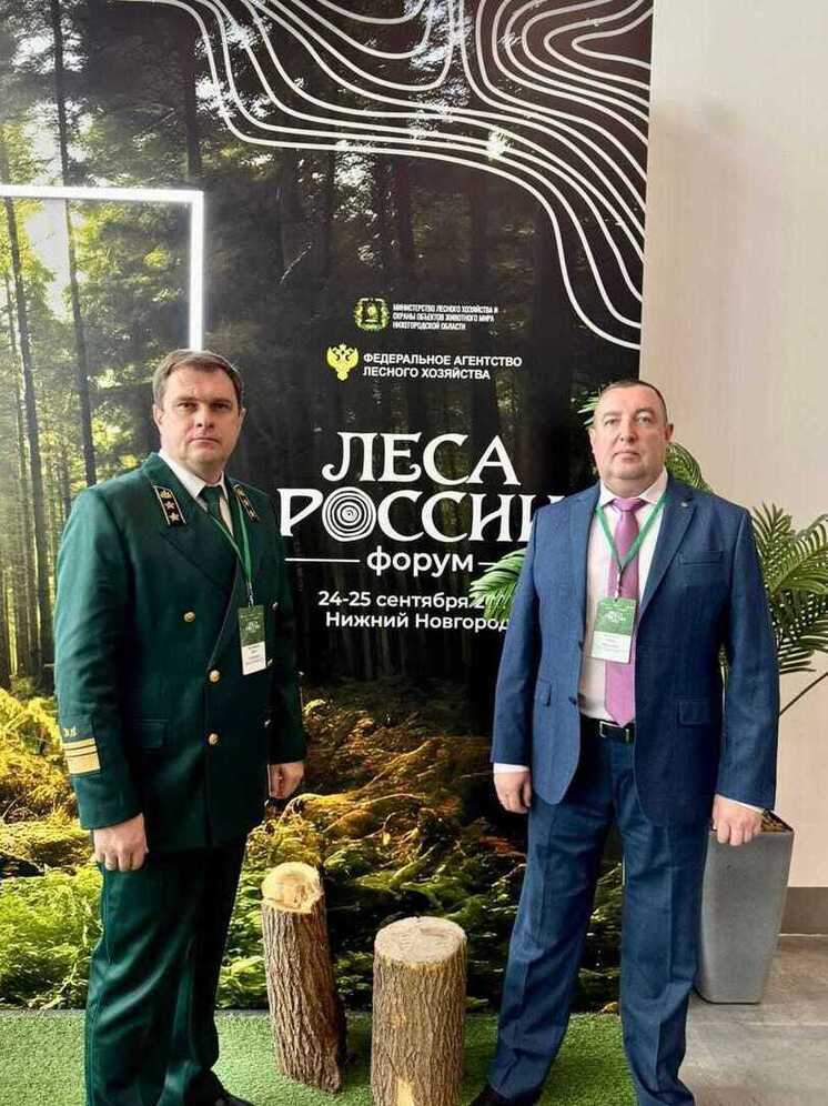 На форуме «Леса России» обсудили совершенствование законодательства