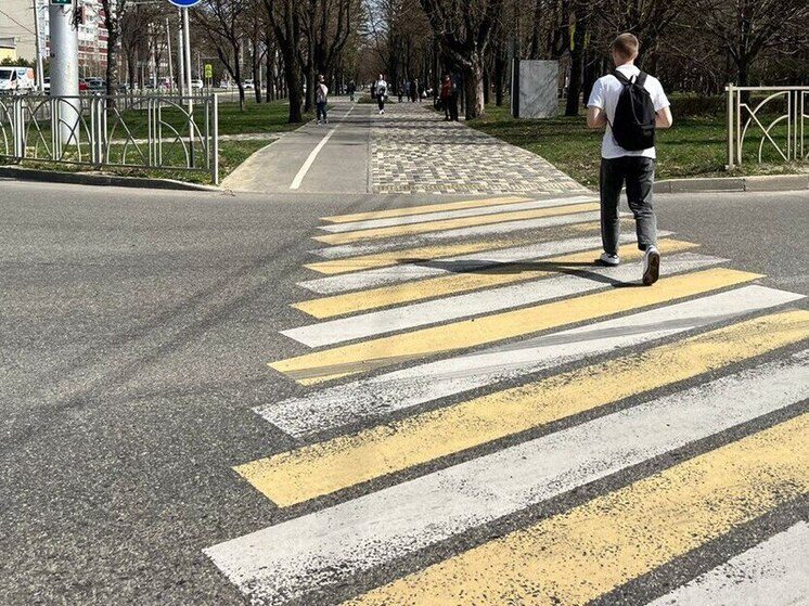 На Ставрополье 4 сентября стартует дополнительный период сдачи ЕГЭ