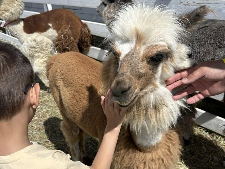 Новый агротур и исторический квест: чем удивляет туристов Ставрополь этой осенью