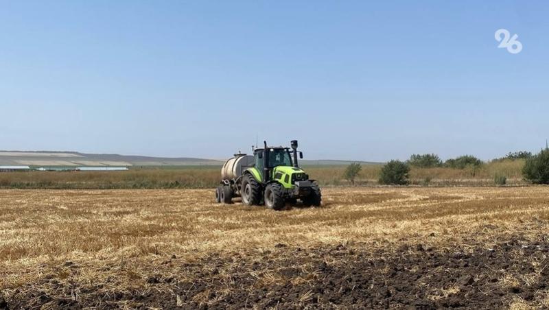 Около 12,5 тыс. тонн сои собрали на Ставрополье