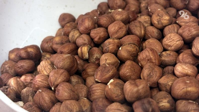 Садовод Предгорного округа собрал 350 тонн фундука