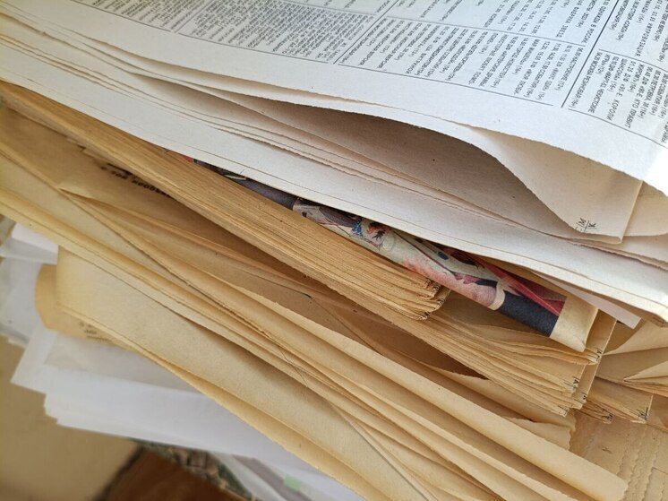 Сотрудники Минприроды Ставрополья собрали более тонны макулатуры