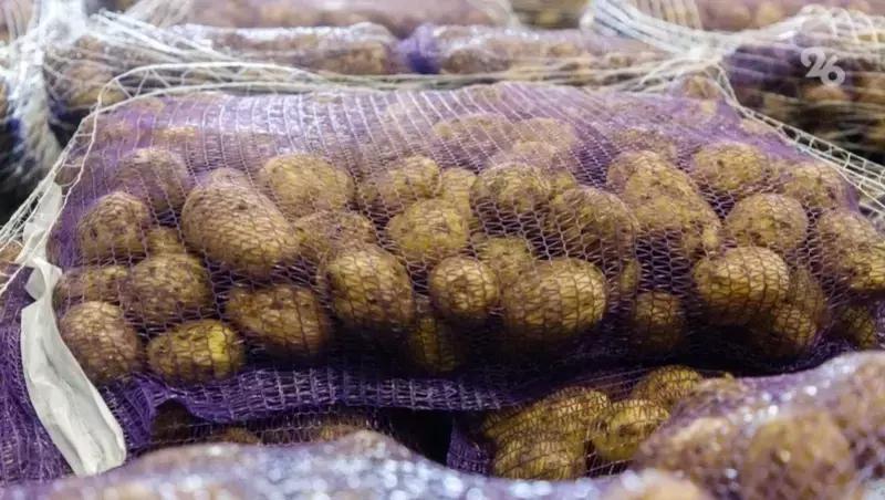 Средняя цена картофеля на Ставрополье снизилась до 38 рублей