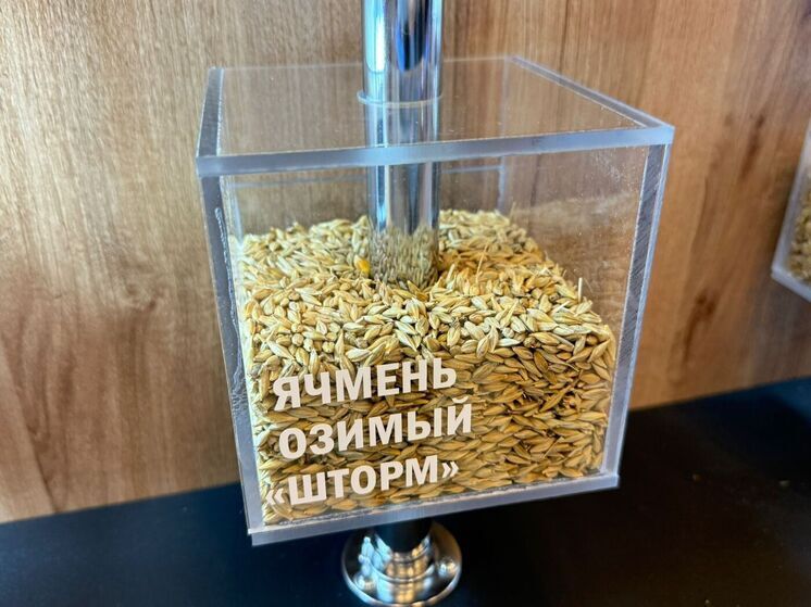 В Петровском округе Ставрополья открылись агроклассы по генетике и селекции растений