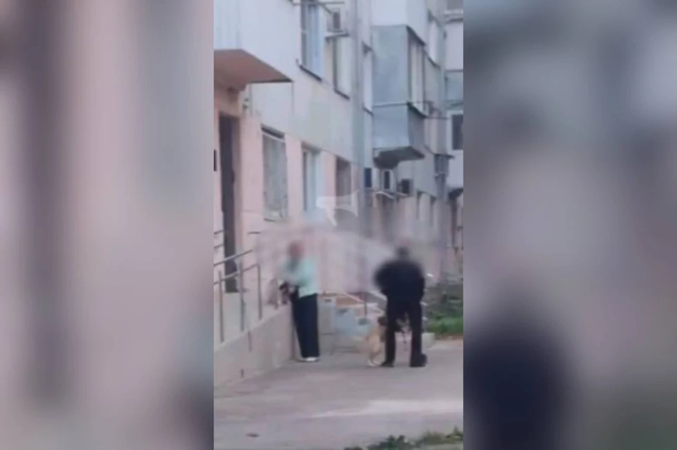 В Ставрополе мужчина со злой собакой угрожал местной жительнице0
