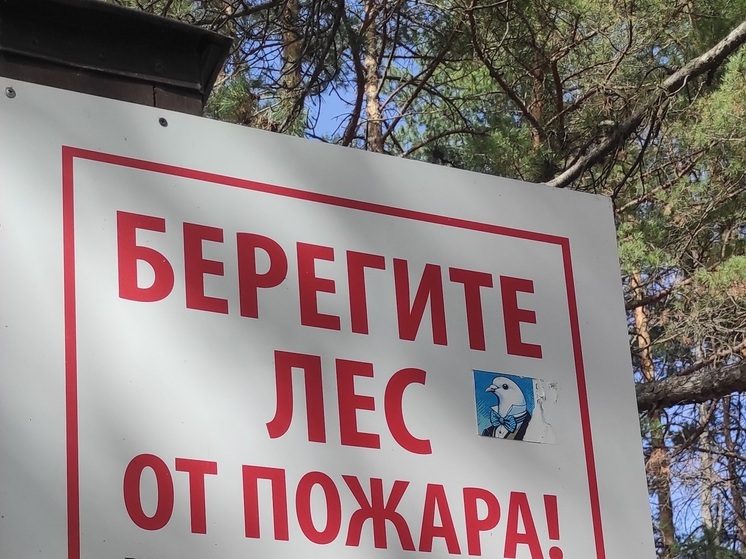 В Ставрополе завершили создание противопожарных барьеров