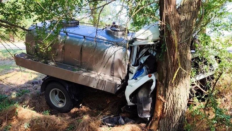 Водитель молоковоза пострадал, врезавшись в дерево в Ипатовском округе