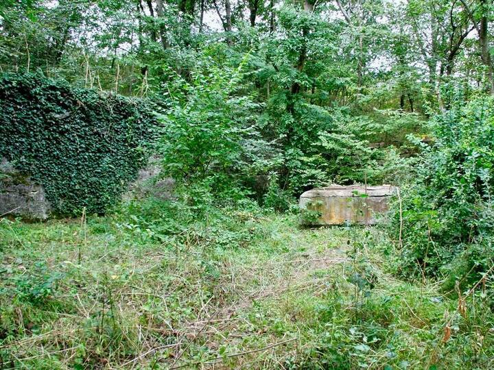 Вокруг Баталинского минерального источника на Ставрополье создана охранная зона площадью 5 гектаров  Ставрополь (Кавказ)1