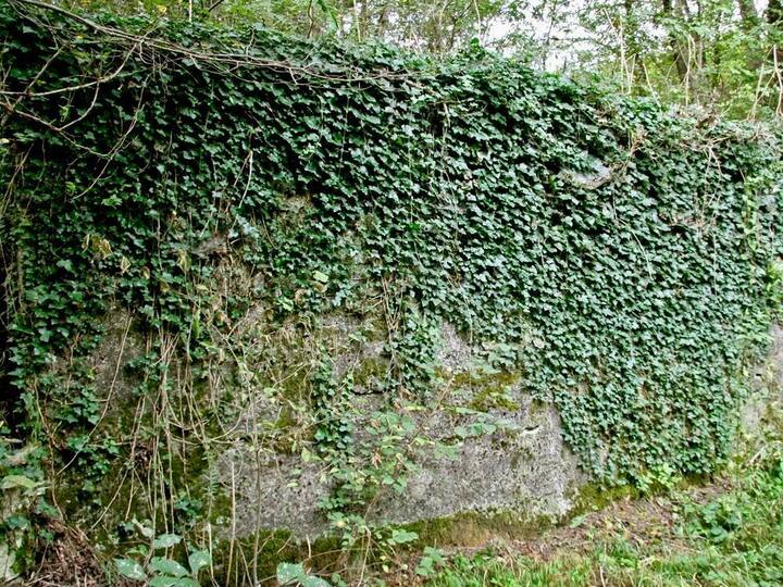 Вокруг Баталинского минерального источника на Ставрополье создана охранная зона площадью 5 гектаров  Ставрополь (Кавказ)2