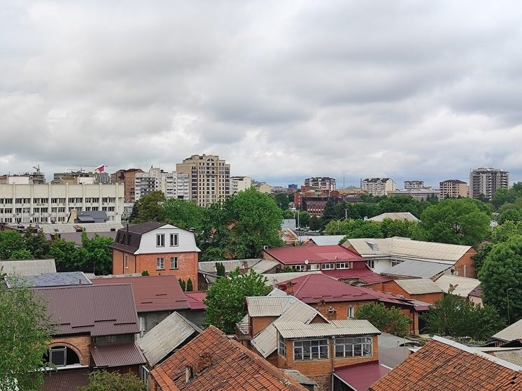 Жители Владикавказа рассказали о серийных нападениях на котов в центре города